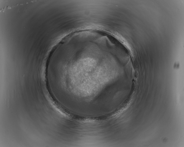 X0000093720581200711060939