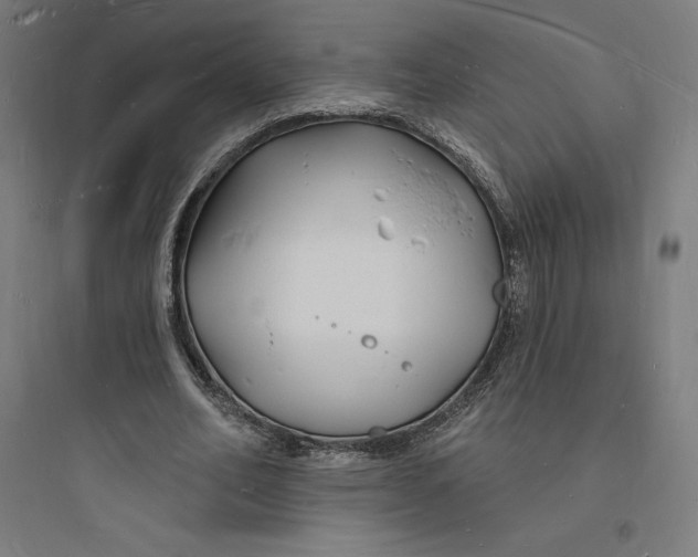 X0000093720582200711060939