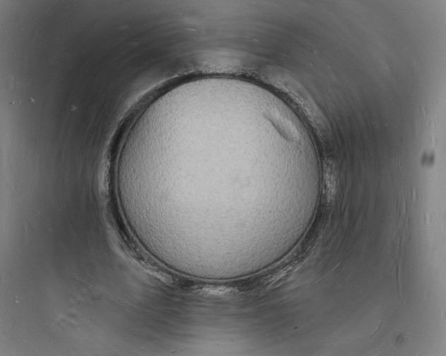 X0000093720583200711060939