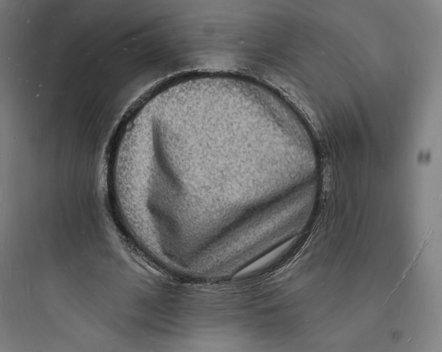 X0000093720584200711060939