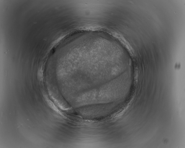 X0000093720585200711060939