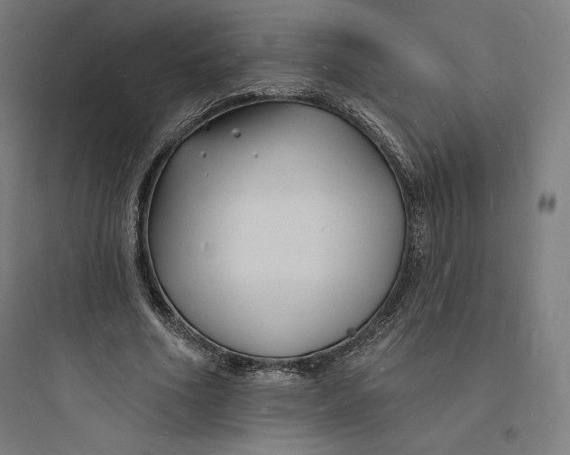 X0000093720586200711060939