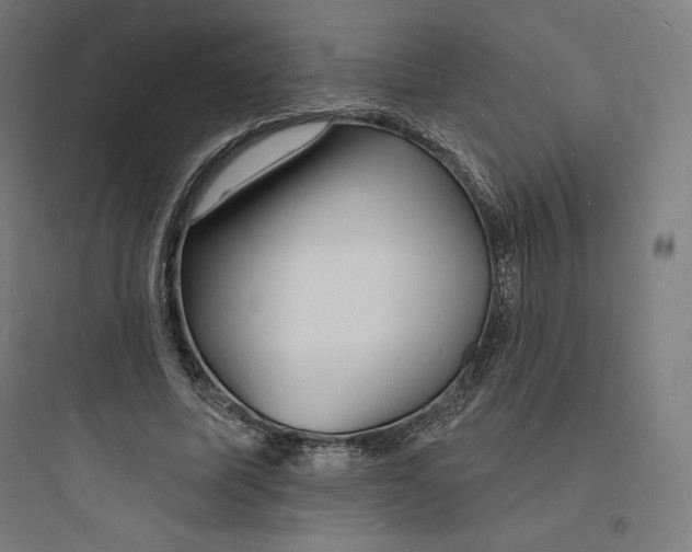 X0000093720587200711060939