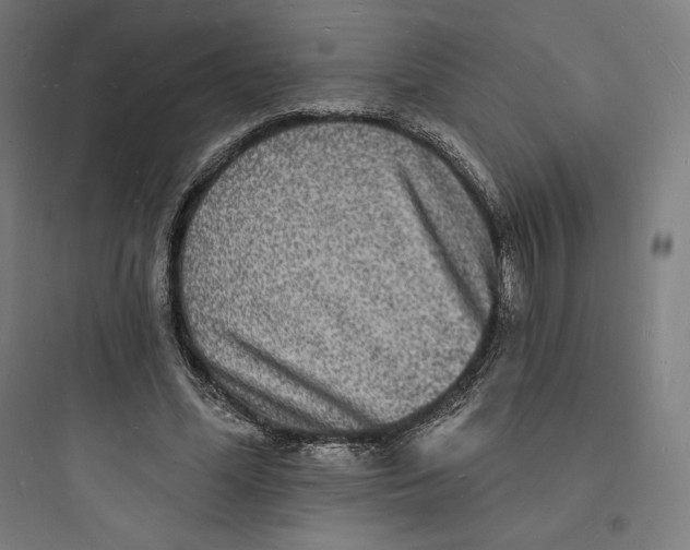 X0000093720588200711060939