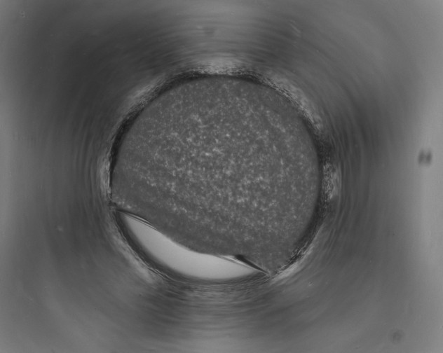 X0000093720589200711060939