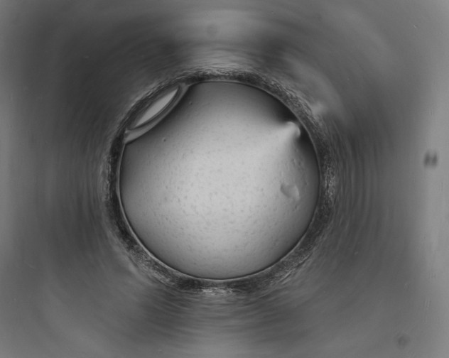 X0000093720591200711060939