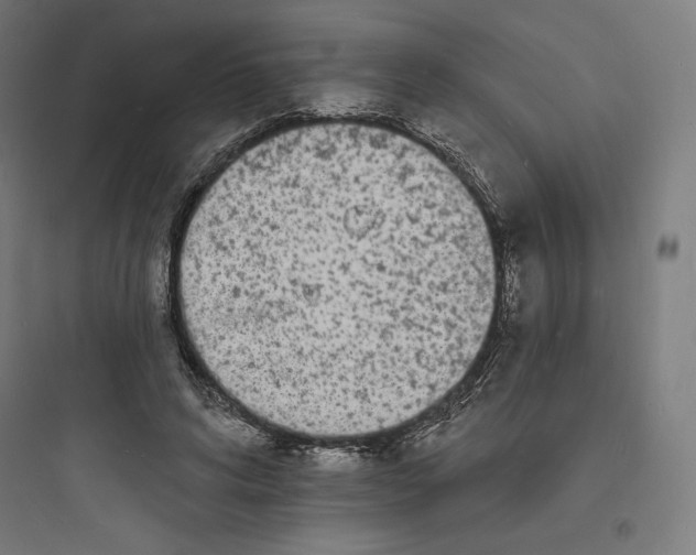 X0000093720592200711060939