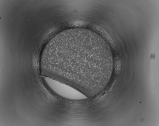 X0000093720593200711060939