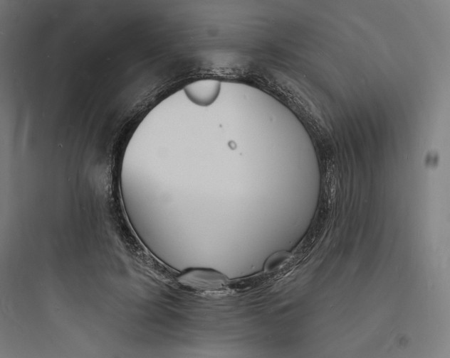 X0000093720595200711060939