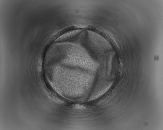 X0000093720596200711060939