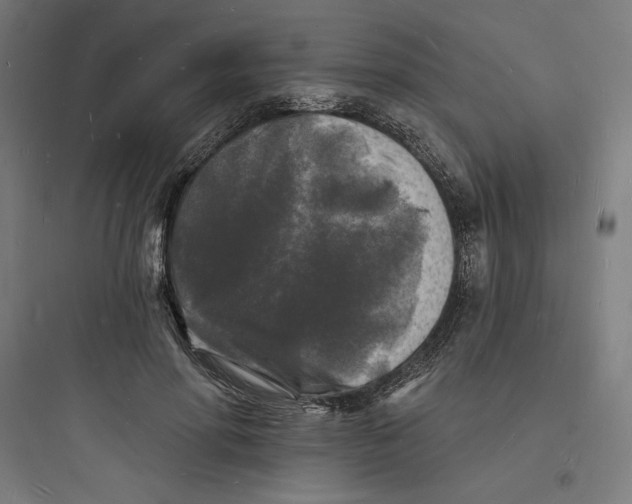 X0000093720598200711060939