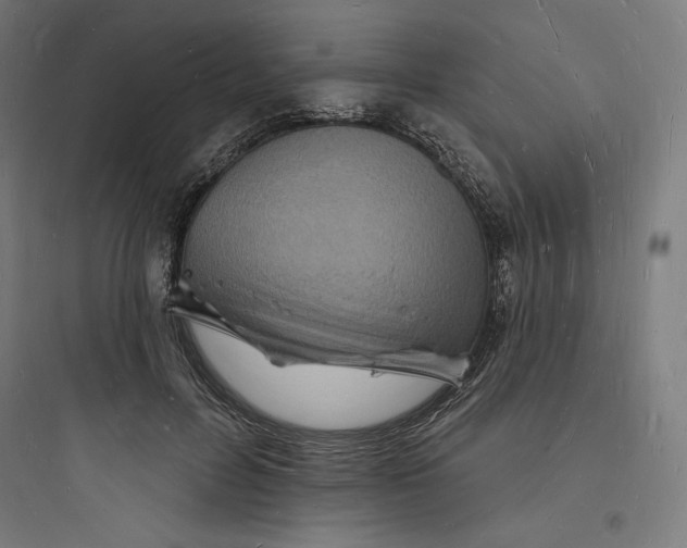 X0000093720600200711060939