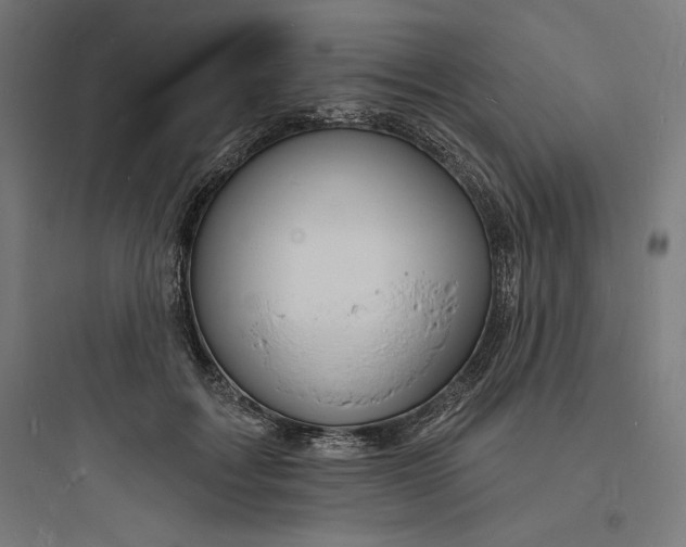 X0000093720603200711060939