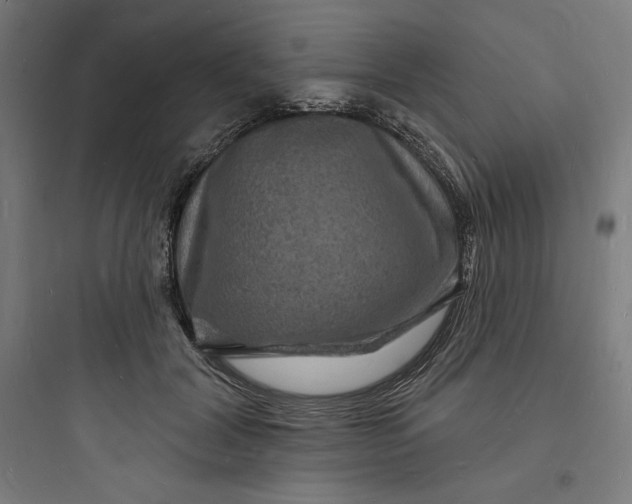 X0000093720604200711060939