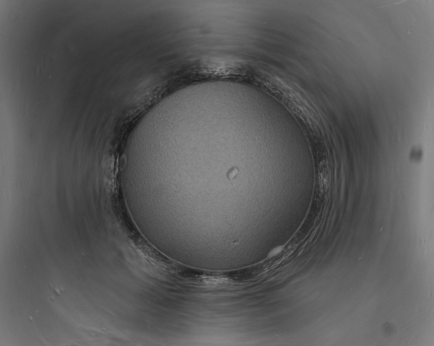 X0000093720605200711060939