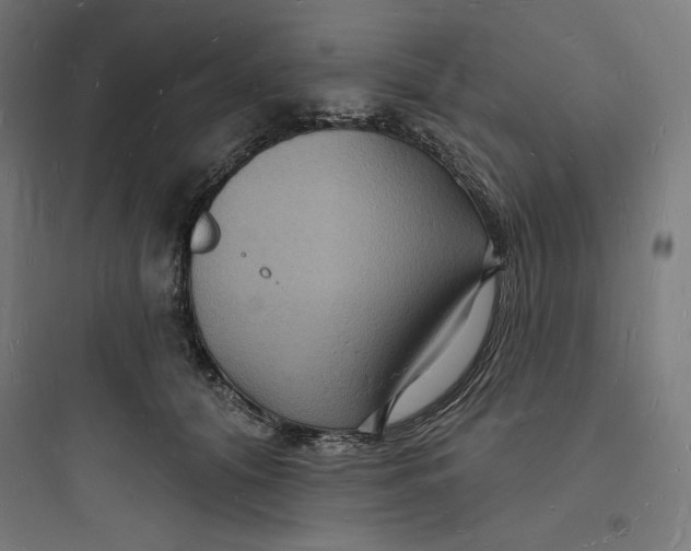 X0000093720608200711060939