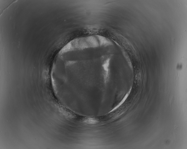 X0000093720610200711060939