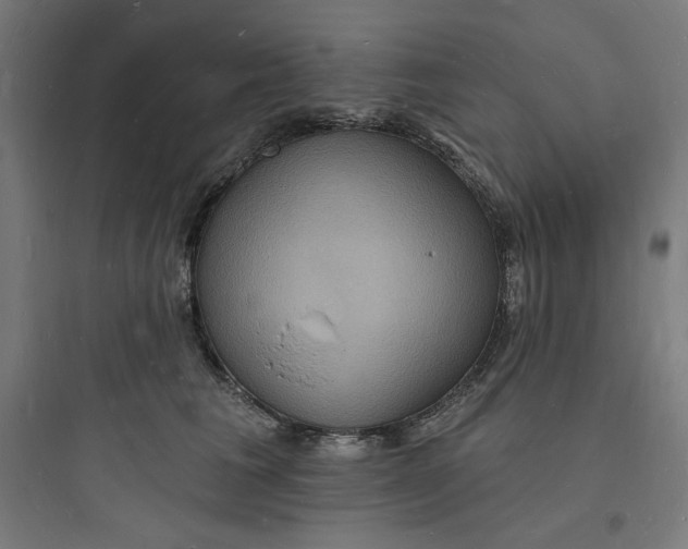 X0000093720613200711060939