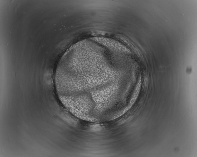 X0000093720616200711060939