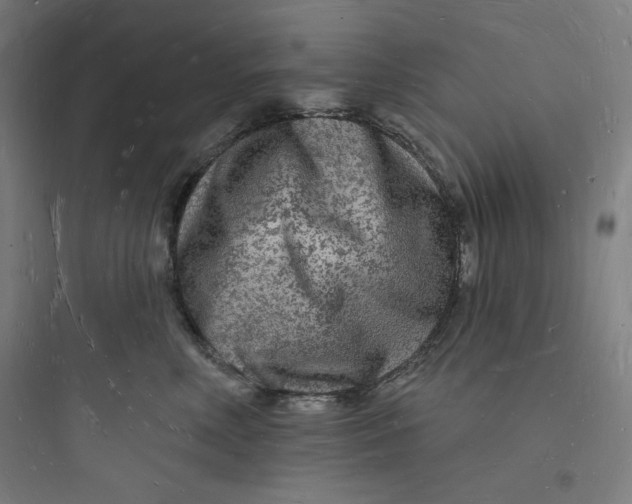 X0000093720618200711060939