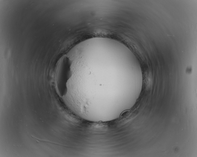 X0000093720619200711060939