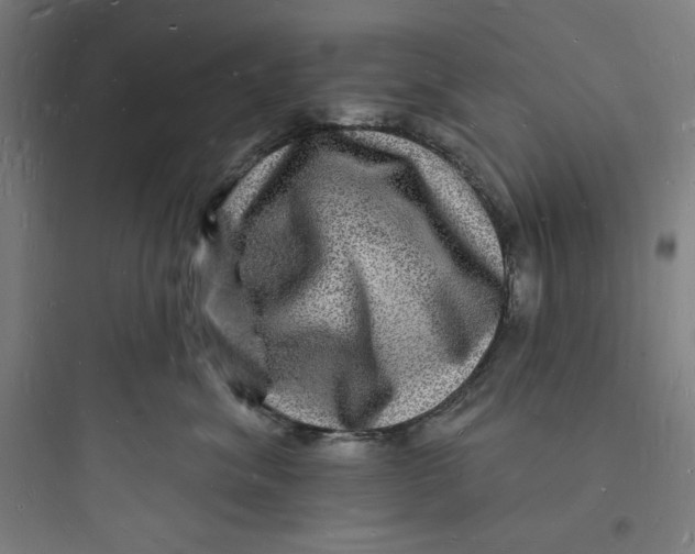 X0000093720620200711060939