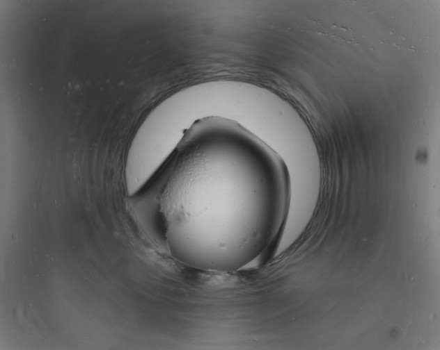 X0000093720621200711060939