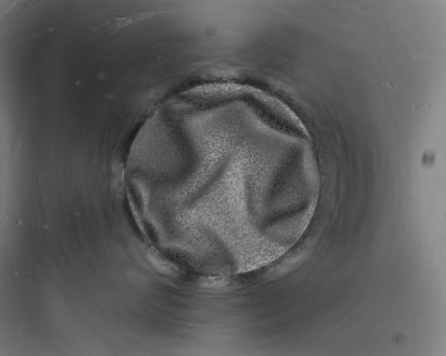 X0000093720624200711060939