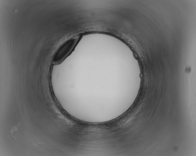 X0000093720625200711060938