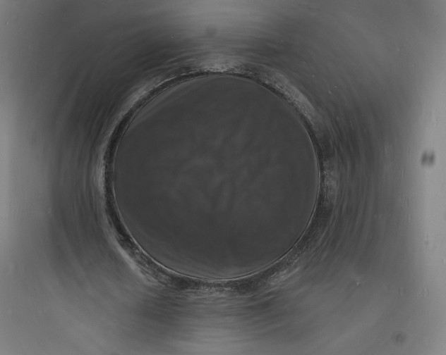 X0000093720626200711060938