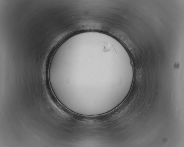 X0000093720629200711060938