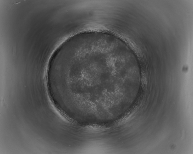 X0000093720630200711060938