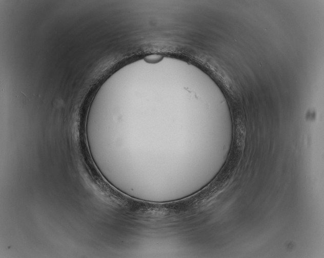 X0000093720631200711060938