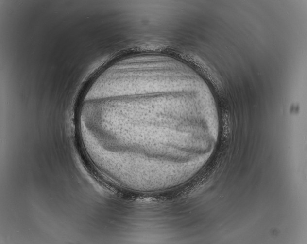 X0000093720634200711060938