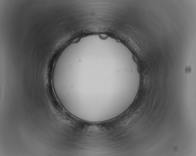 X0000093720635200711060938