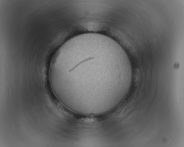 X0000093720639200711060938