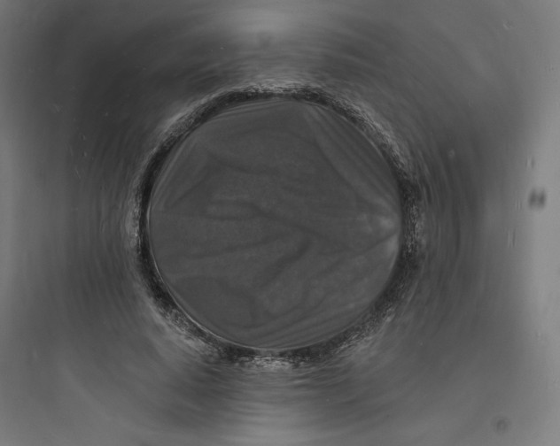 X0000093720640200711060938