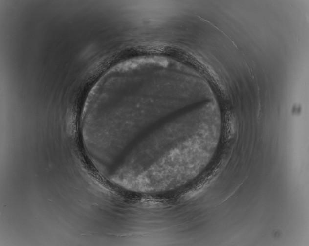 X0000093720641200711060938