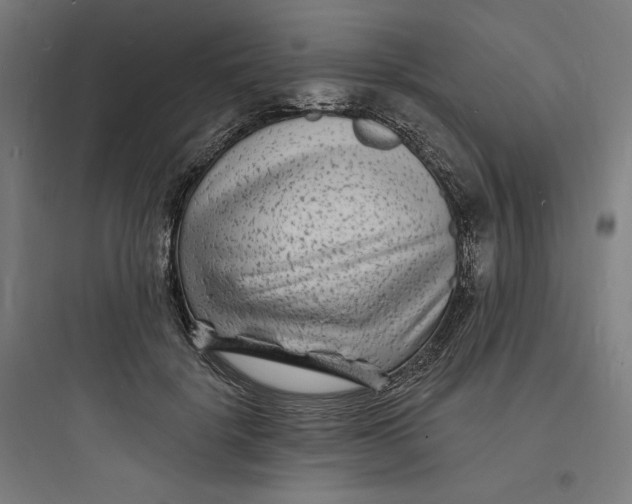 X0000093720652200711060938