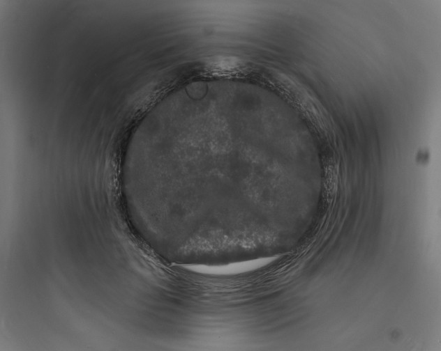 X0000093720653200711060938