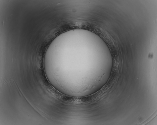 X0000093720656200711060938