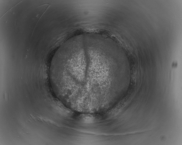 X0000093720658200711060938