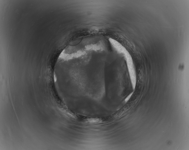 X0000093720659200711060938