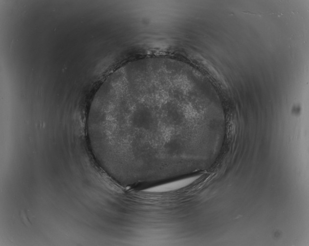 X0000093720661200711060938