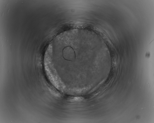 X0000093720663200711060938