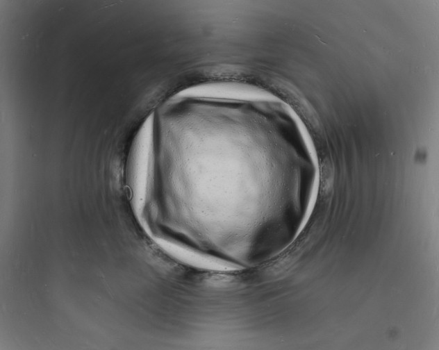 X0000093720669200711060939