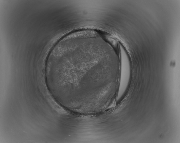 X0000093720673200711060938