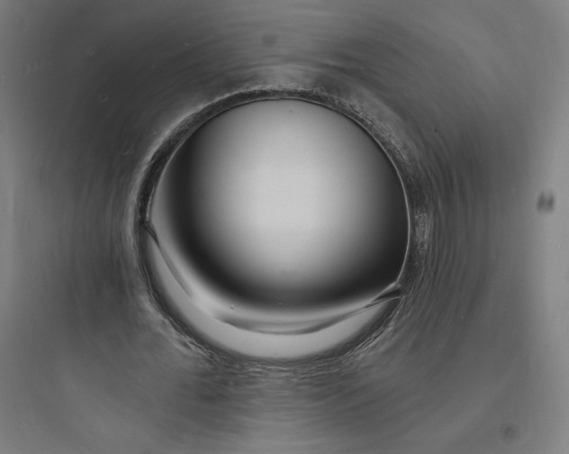 X0000093720676200711060938