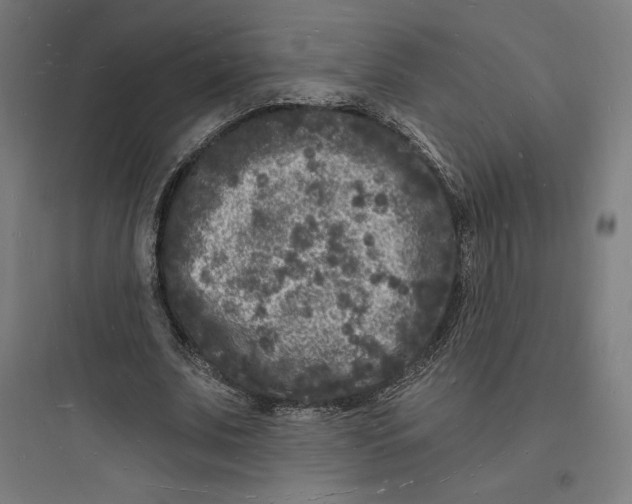 X0000093720679200711060938