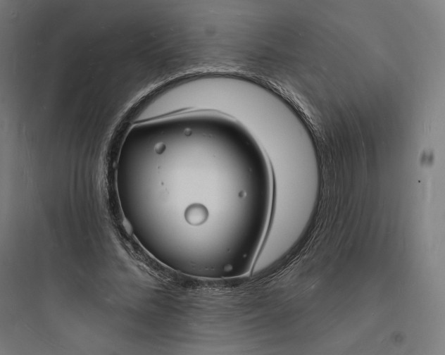 X0000093720684200711060938